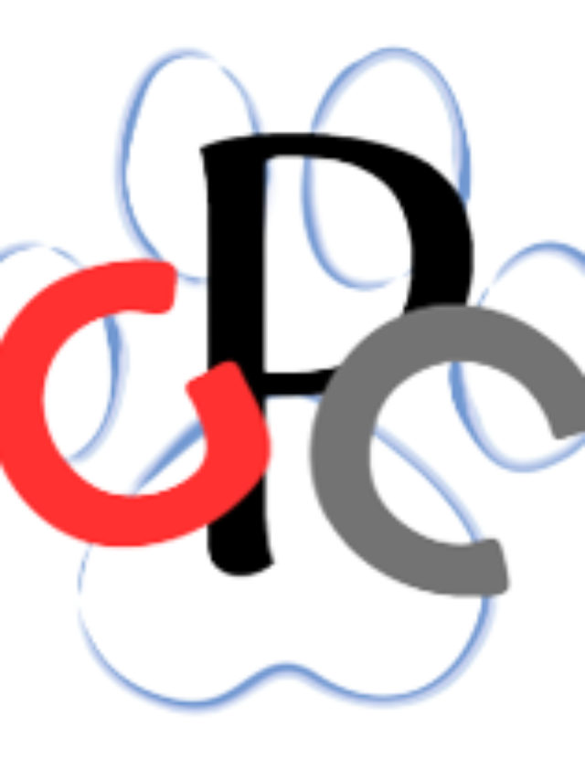 Harmonizando com Pet-Friendly